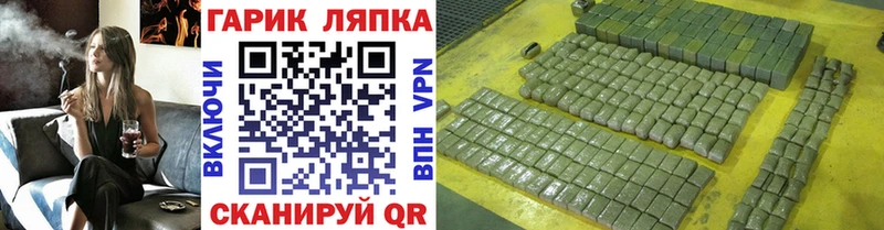 mega как зайти  наркошоп  Снежногорск  ГАШИШ индика сатива 