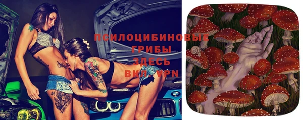 гидра Алексин