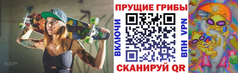 Псилоцибиновые грибы прущие грибы  МЕГА как зайти  Снежногорск 